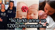 İki Farklı Anneden, Birbirlerinden 8 Hafta Arayla ve 1200 Kilometre Uzaklıkta Doğan 'İkiz' Kız Kardeşler