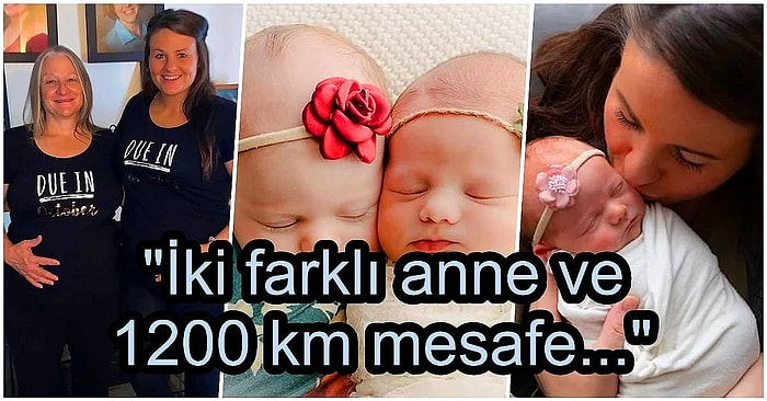 İki Farklı Anneden, Birbirlerinden 8 Hafta Arayla ve 1200 Kilometre Uzaklıkta Doğan 'İkiz' Kız Kardeşler