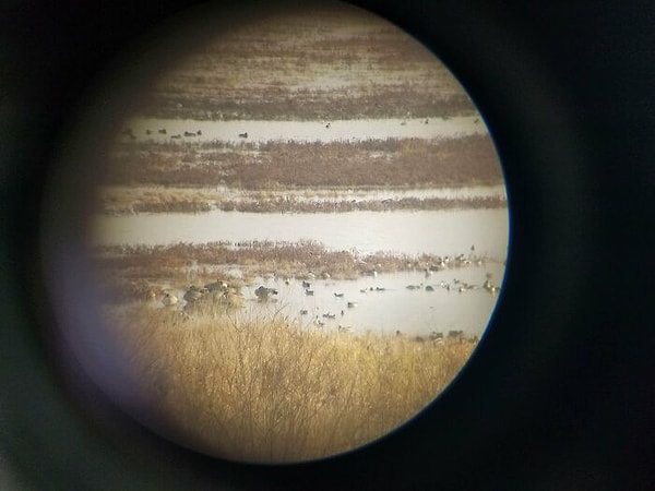 7. "Юпитер в телескопе"