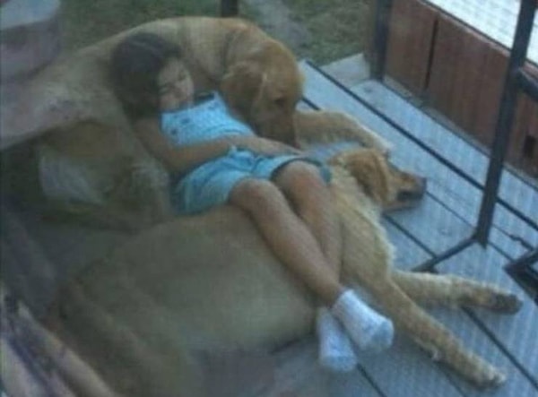 4. "Наши собаки никогда не двигаются, когда дочка засыпает вот в такой позе. Ребята терпеливо ждут, пока она проснется".