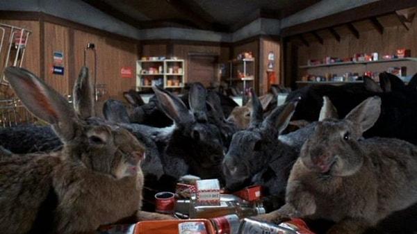7. Night of the Lepus (1972) - Havuç yiyip şirinlik yapması gereken tavşanlar insan yemeye başlıyor.