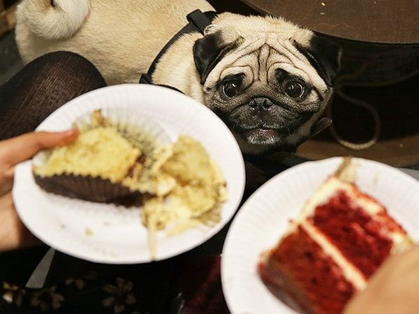 11. Ой как хочется попробовать, страсть как хочется!