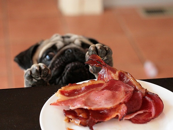 20. Только бы дотянуться...