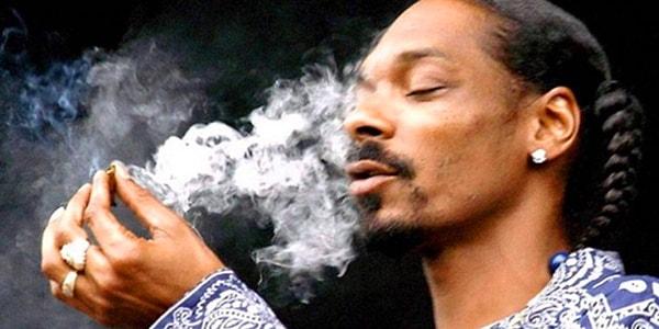 28. Snoop Dogg ve Brandy kuzenlerdir.