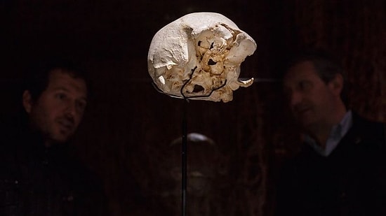 Bilim İnsanları Yeni Bulgulara Rastladı: Atalarımız Kış Uykusuna Yatmış Olabilir