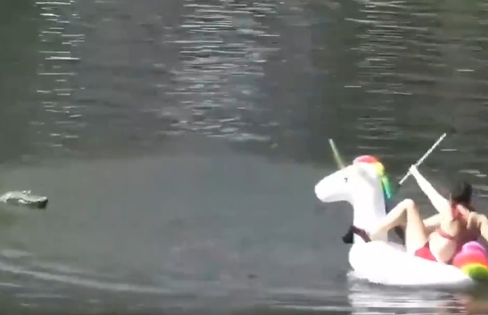 Uzaktan Kumandalı Oyuncak Timsah ile İnsanları Korkutan Adam