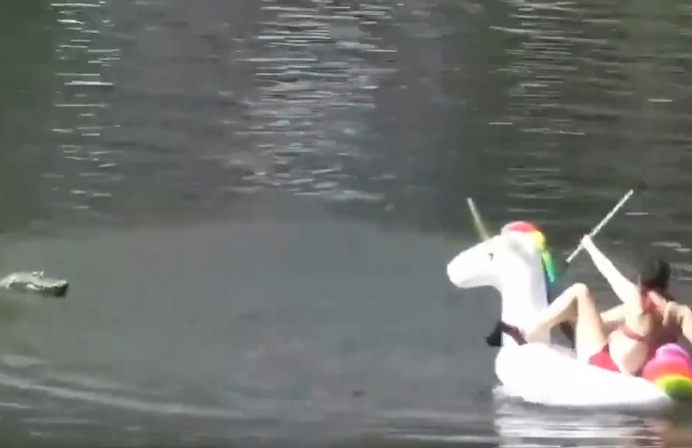 Uzaktan Kumandalı Oyuncak Timsah ile İnsanları Korkutan Adam