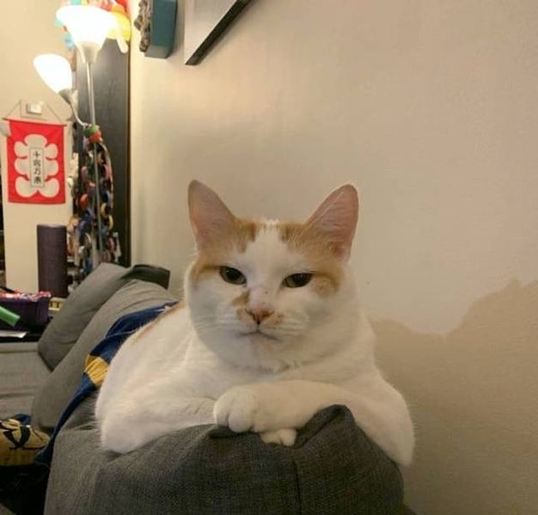 6. "Нам нужно кое о чем серьезно поговорить, Человек".