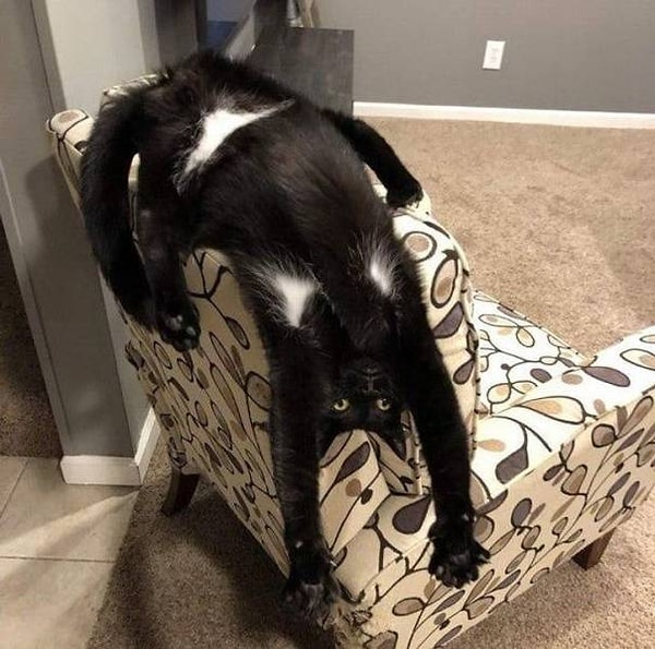 12. "Удобство и крмфорт: уровень 999".