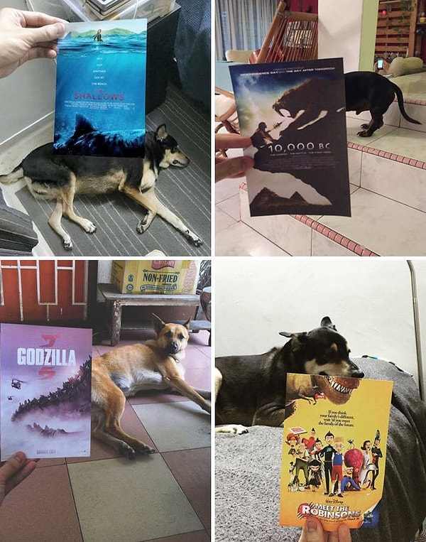 8. "Встречайте: мое последнее увлечение".