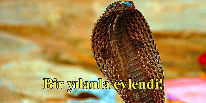 Bu Neyin Kafası? Sizi Hayret Deryalarına Sürükleyecek Dünyanın En İlginç 15 Evliliği