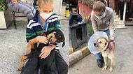 Köpeğe Şiddet Görüntülerini Sosyal Medyadan Paylaşan Hayvansevere Hapis İstemi