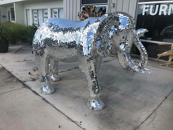 15. Я пошел в консигнационный магазин в Неаполе, Флорида, сегодня утром, и у них был самый настоящий дискотечный слон.