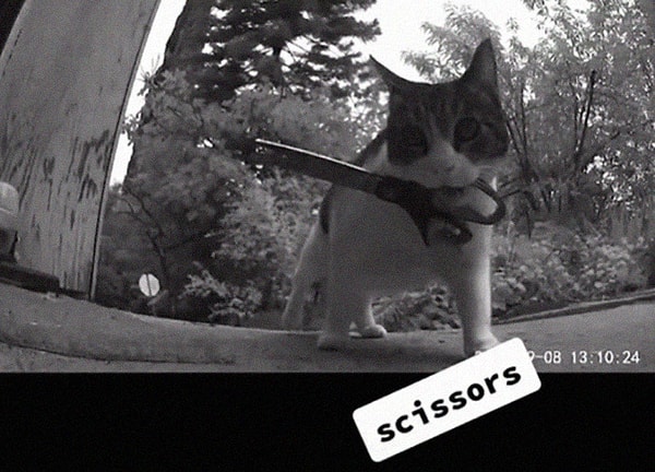 8. Ножницы: всегда пригодятся в хозяйстве.