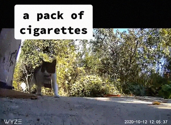 15. Пачка сигарет: а вдруг захочется покурить?