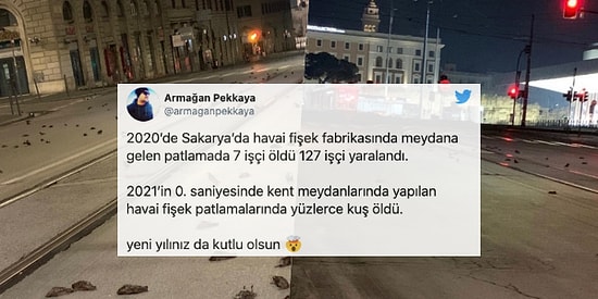 Böyle Kutlama Olmaz Olsun! Yeni Yılda Atılan Havai Fişekler Kuş Katliamına Neden Oldu