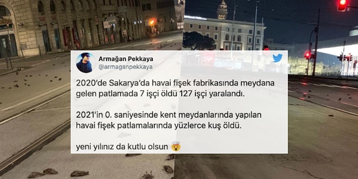 Böyle Kutlama Olmaz Olsun! Yeni Yılda Atılan Havai Fişekler Kuş Katliamına Neden Oldu