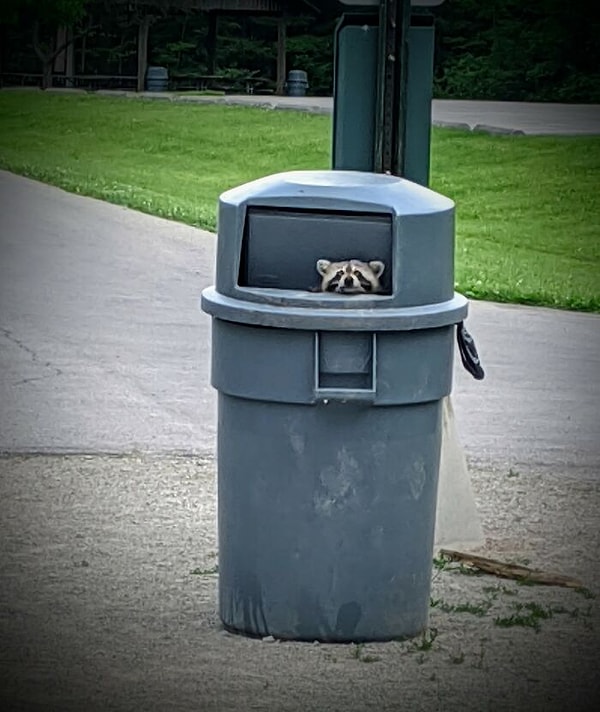 9. Я новичок в этой группе, это фото засчитывается?