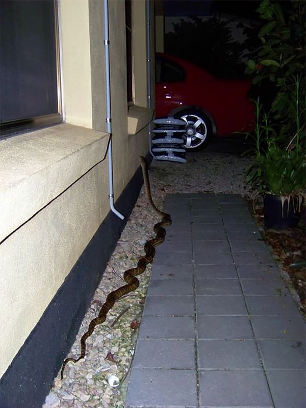 12. Когда я добралась до дома, наружный свет не горел, а муж, чтоб его, оставил трубу, о которую я споткнулась на пути ко входной двери. Оказавшись внутри, муж категорически отверг любой проступок с трубкой, поэтому я включила внешний свет, чтобы доказать, что он неправ ...