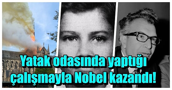 Şaşırtıcı Bir Şeyler Görmeden Günü Kapatmak İstemeyenler İçin 23 İlginç Bilgi