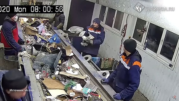 Все были в шоке, обнаружив в мешке кота.