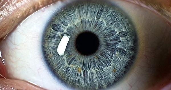 Gözümüz, sürekli olarak nemli kalmalıdır. Bu nedenle göz bazal gözyaşı ismi verilen 3 katmanlı bir yapıdan oluşur.