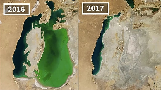 10 изображений НАСА, показывающие, как сильно меняется климат, и это пугает