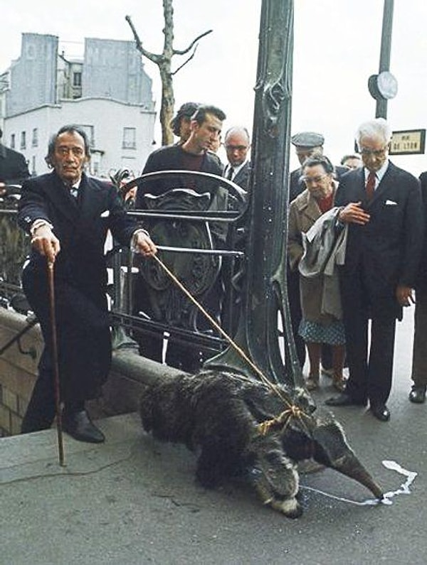 8. Сальвадор Дали и его муравьед.