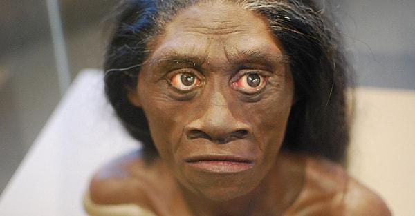 Homo floresiensis türünü diğer insan türlerinden ayıran bir özelliği vardı; cüce olmaları!