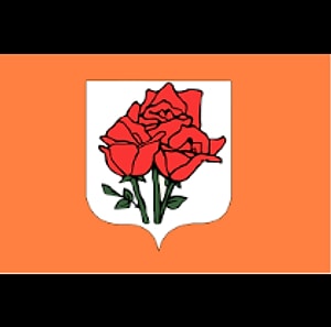 neden-ulan-neden Profil Resmi