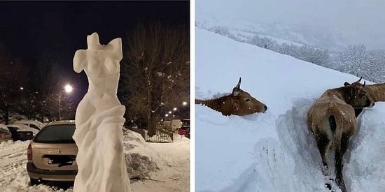 В эти дни, Испания становится свидетелем самого большого снегопада за десятилетия, и вот как выглядит это необычное зрелище