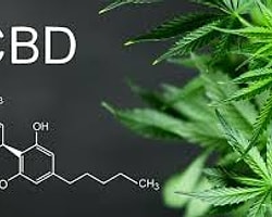 CBD