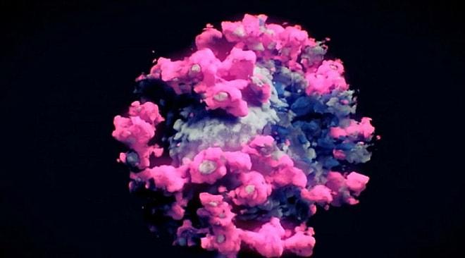 Üzerinde Aylarca Çalıştılar: Koronavirüsün En Net Görüntüsü Elde Edildi