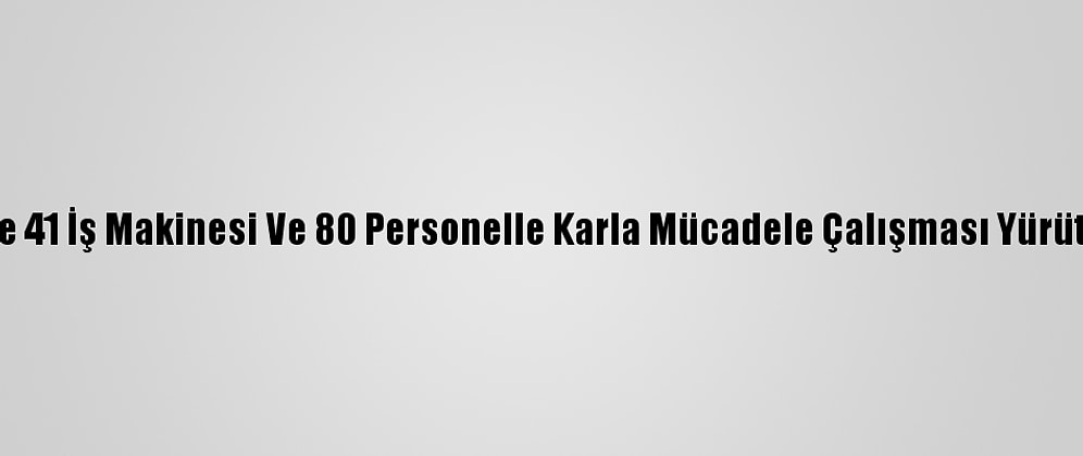 Bitlis'te 41 İş Makinesi Ve 80 Personelle Karla Mücadele Çalışması Yürütülüyor