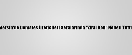 Mersin'de Domates Üreticileri Seralarında "Zirai Don" Nöbeti Tuttu