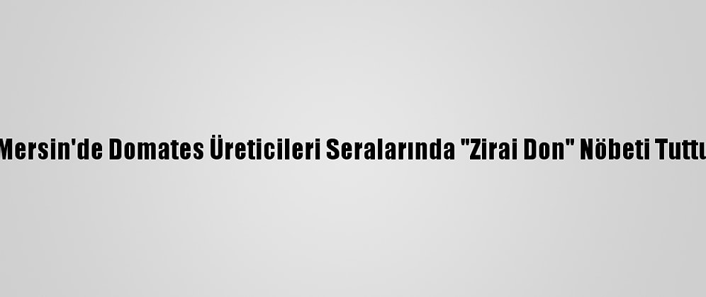 Mersin'de Domates Üreticileri Seralarında "Zirai Don" Nöbeti Tuttu