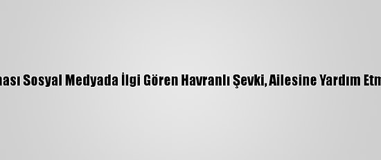 Yöresel Konuşması Sosyal Medyada İlgi Gören Havranlı Şevki, Ailesine Yardım Etmekten Memnun