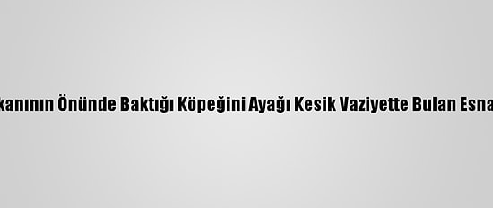 Samsun'da Dükkanının Önünde Baktığı Köpeğini Ayağı Kesik Vaziyette Bulan Esnaf Şikayetçi Oldu