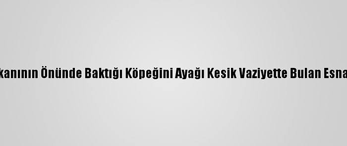 Samsun'da Dükkanının Önünde Baktığı Köpeğini Ayağı Kesik Vaziyette Bulan Esnaf Şikayetçi Oldu