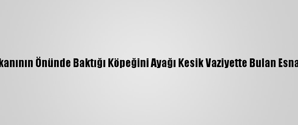 Samsun'da Dükkanının Önünde Baktığı Köpeğini Ayağı Kesik Vaziyette Bulan Esnaf Şikayetçi Oldu