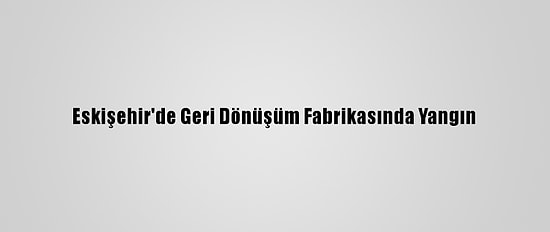 Eskişehir'de Geri Dönüşüm Fabrikasında Yangın