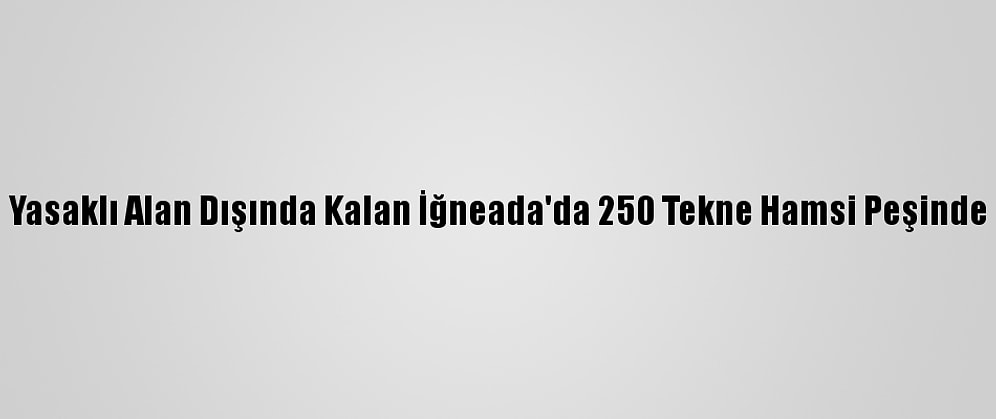 Yasaklı Alan Dışında Kalan İğneada'da 250 Tekne Hamsi Peşinde