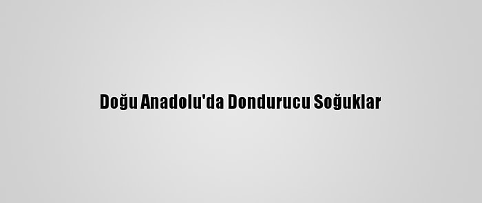 Doğu Anadolu'da Dondurucu Soğuklar