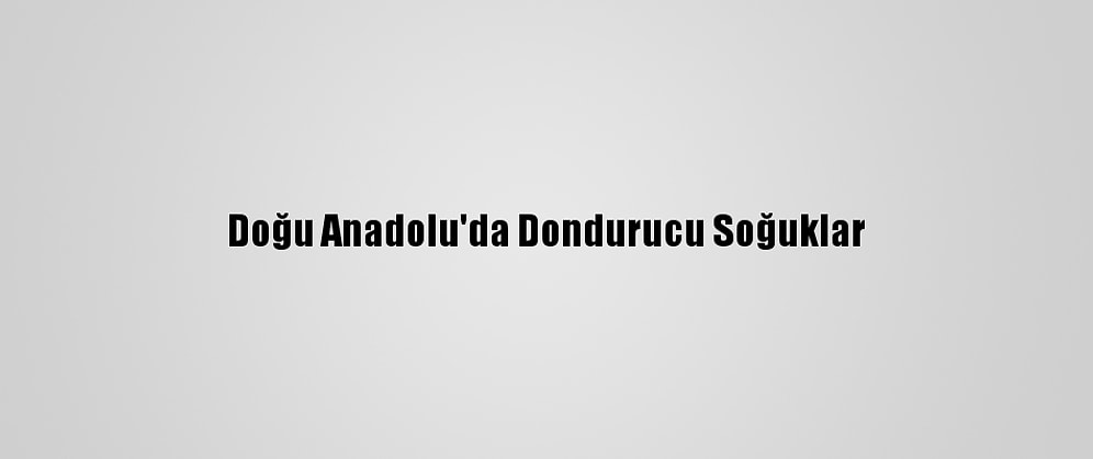 Doğu Anadolu'da Dondurucu Soğuklar
