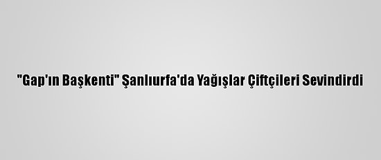 "Gap'ın Başkenti" Şanlıurfa'da Yağışlar Çiftçileri Sevindirdi
