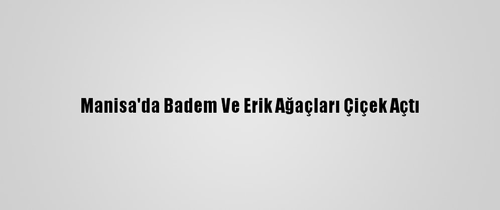 Manisa'da Badem Ve Erik Ağaçları Çiçek Açtı