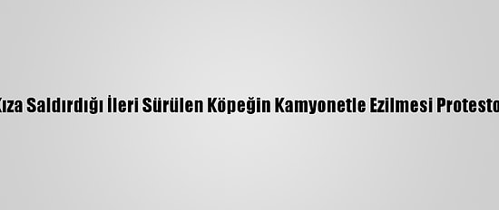 Genç Kıza Saldırdığı İleri Sürülen Köpeğin Kamyonetle Ezilmesi Protesto Edildi