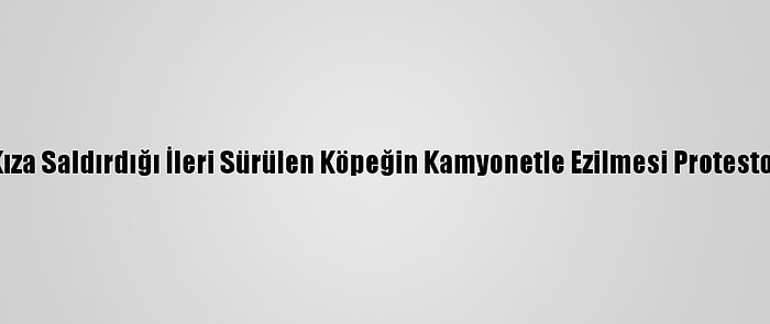 Genç Kıza Saldırdığı İleri Sürülen Köpeğin Kamyonetle Ezilmesi Protesto Edildi