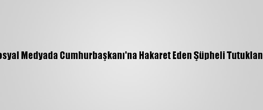 Sosyal Medyada Cumhurbaşkanı'na Hakaret Eden Şüpheli Tutuklandı