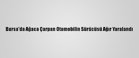 Bursa'da Ağaca Çarpan Otomobilin Sürücüsü Ağır Yaralandı